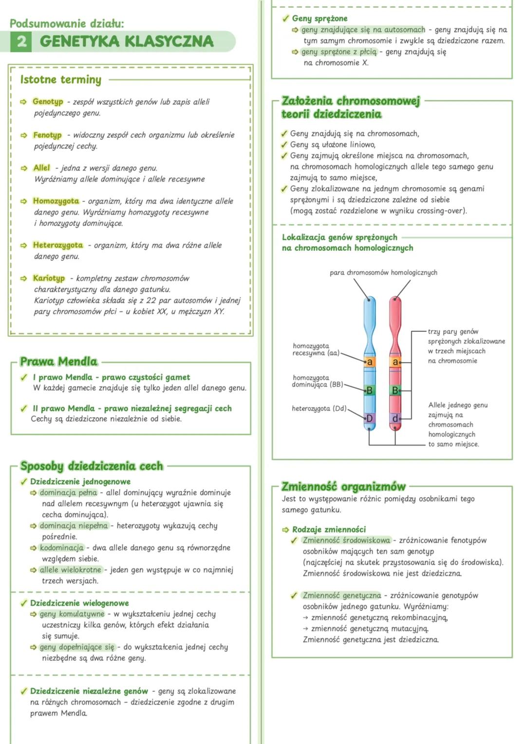 Podsumowanie działu:
2 GENETYKA KLASYCZNA
Istotne terminy
➡ Genotyp - zespół wszystkich genów lub zapis alleli
pojedynczego genu.
Fenotyp wi