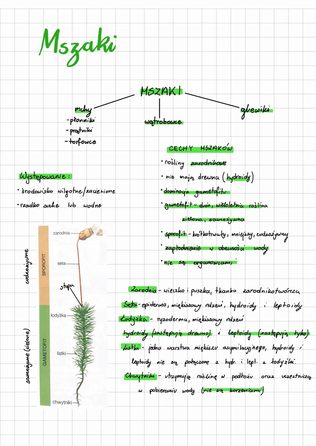 # Mszaki
- mchy
- płonniki
- prątniki
- torfowce
## Występowanie:
* środowisko wilgotne/zacienione
* rzadko suche lub wodne
zarodnia