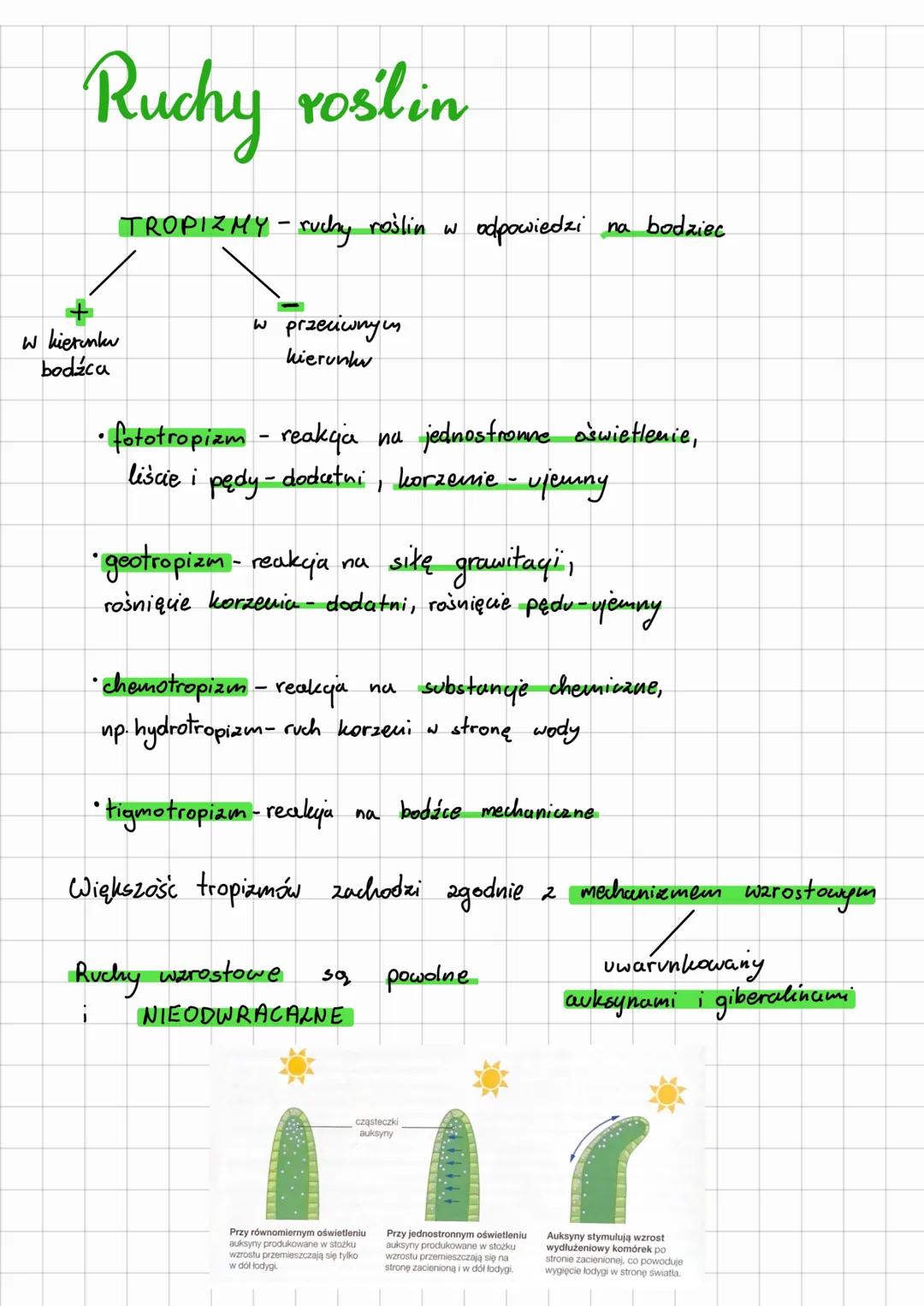Ruchy roślin
TROPIZMY - ruchy roślin w
odpowiedzi
na bodziec
w kierunku
bodźca
W przeciwnym
kierunku
• fototropizm - reakcja na jednostronne
