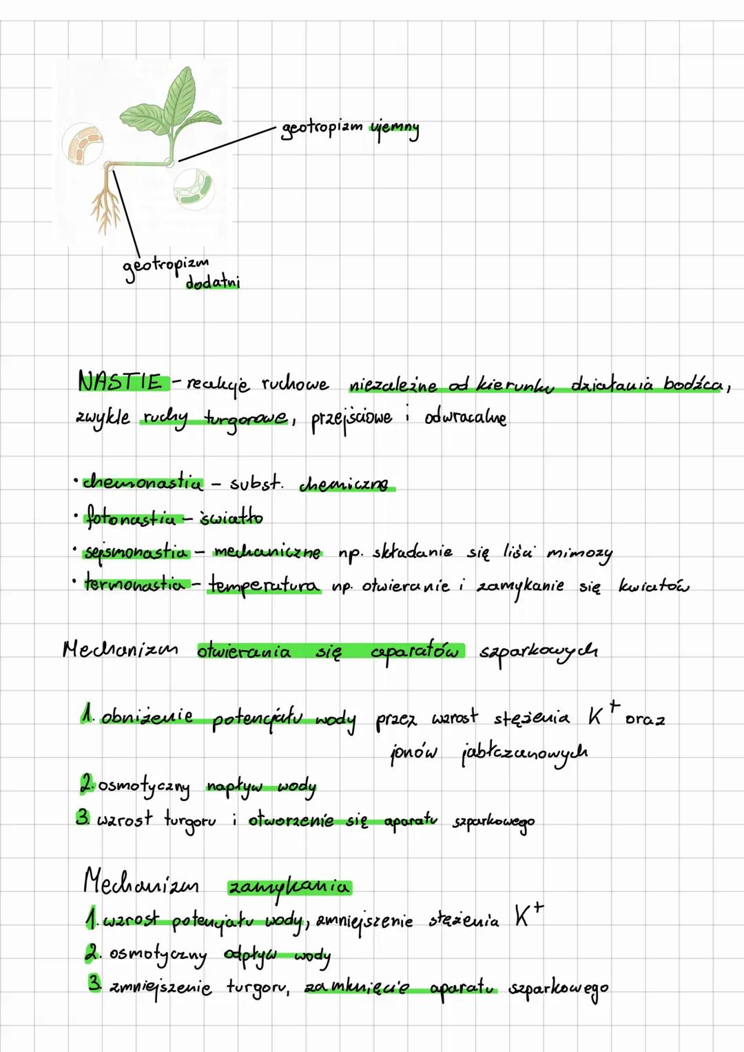 Ruchy roślin
TROPIZMY - ruchy roślin w
odpowiedzi
na bodziec
w kierunku
bodźca
W przeciwnym
kierunku
• fototropizm - reakcja na jednostronne
