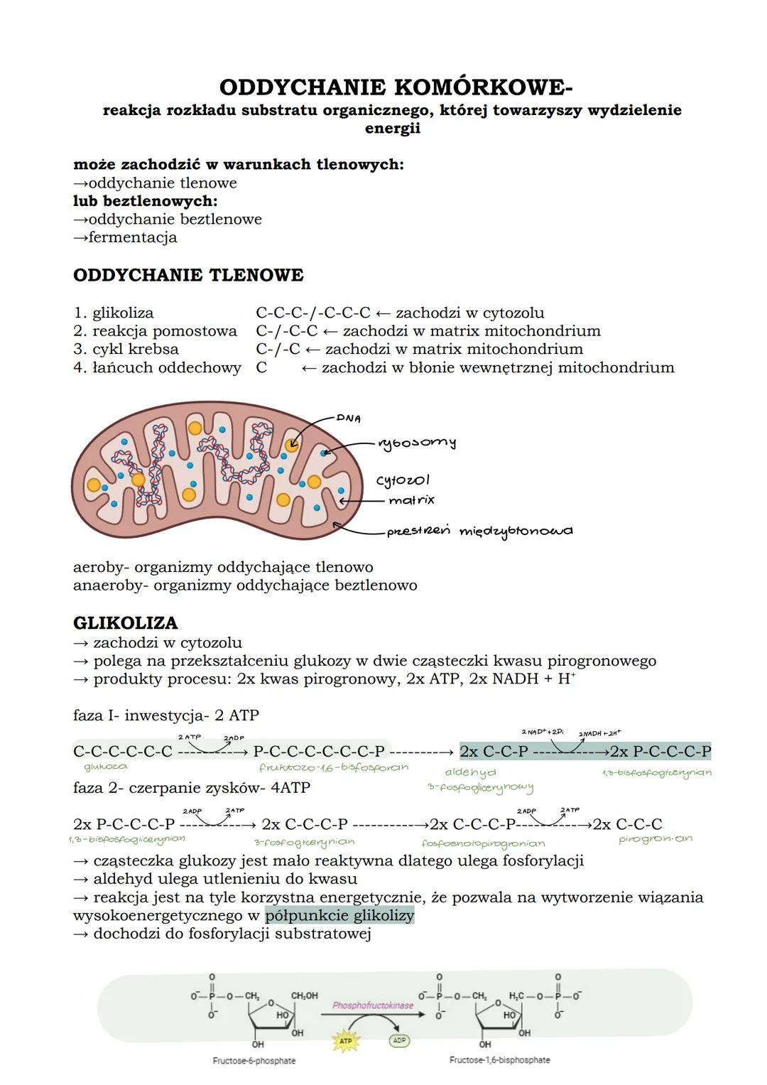 ODDYCHANIE KOMÓRKOWE-
reakcja rozkładu substratu organicznego, której towarzyszy wydzielenie
energii
może zachodzić w warunkach tlenowych:
→