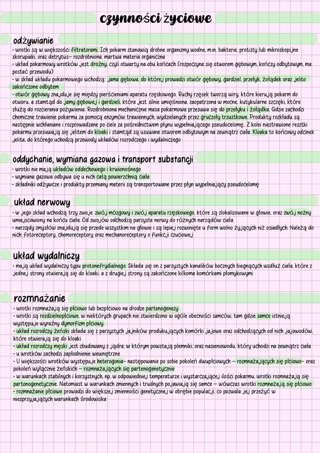 wrotki
charakterystyka
⚫wrotki to zwierzęta o różnych kształtach i dwubocznej symetrii ciała
wrotki to zwierzęta tkankowe, trójwarstwowe, pi