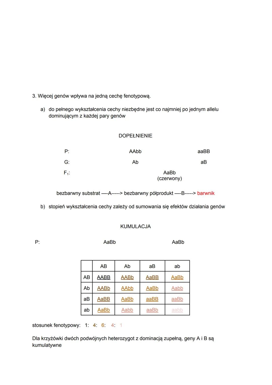 GENETYKA KLASYCZNA
I" Prawo czystości gamet"
Do każdej gamety wchodzi tylko jeden chromosom/allel z danej pary chromosomów,
homologicznych a