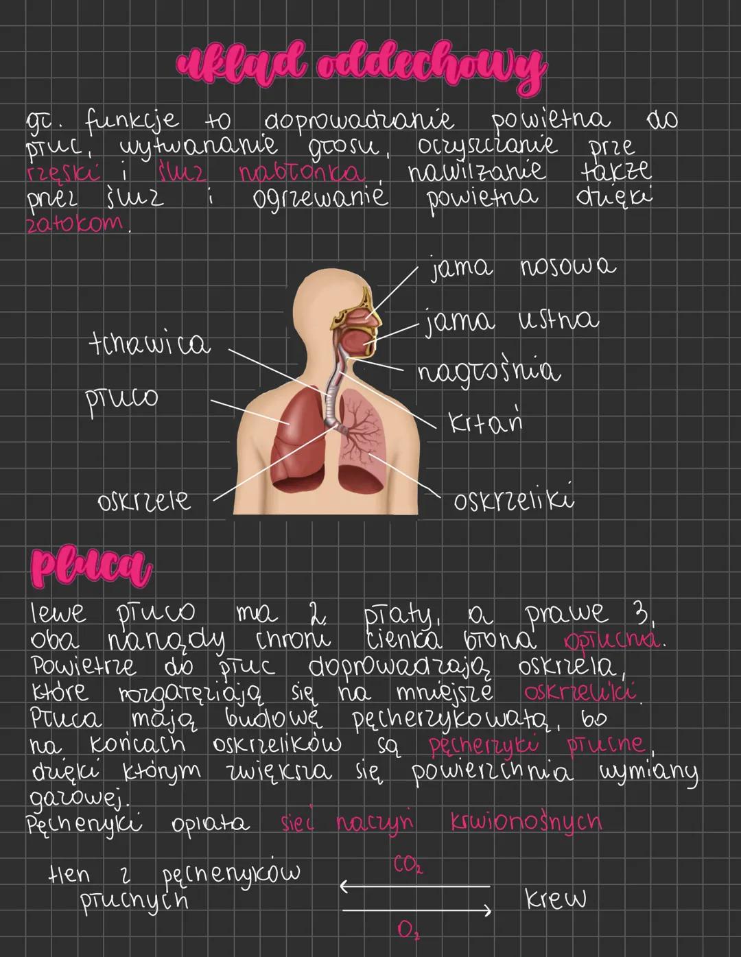 aklad oddechowy
gr. funkcje to
doprowadzanie powietna
płuc, wytwananie głosu, oczyszczanie prze
rzęski i śluz nabtanka
prez śluz
Ванюком,
i