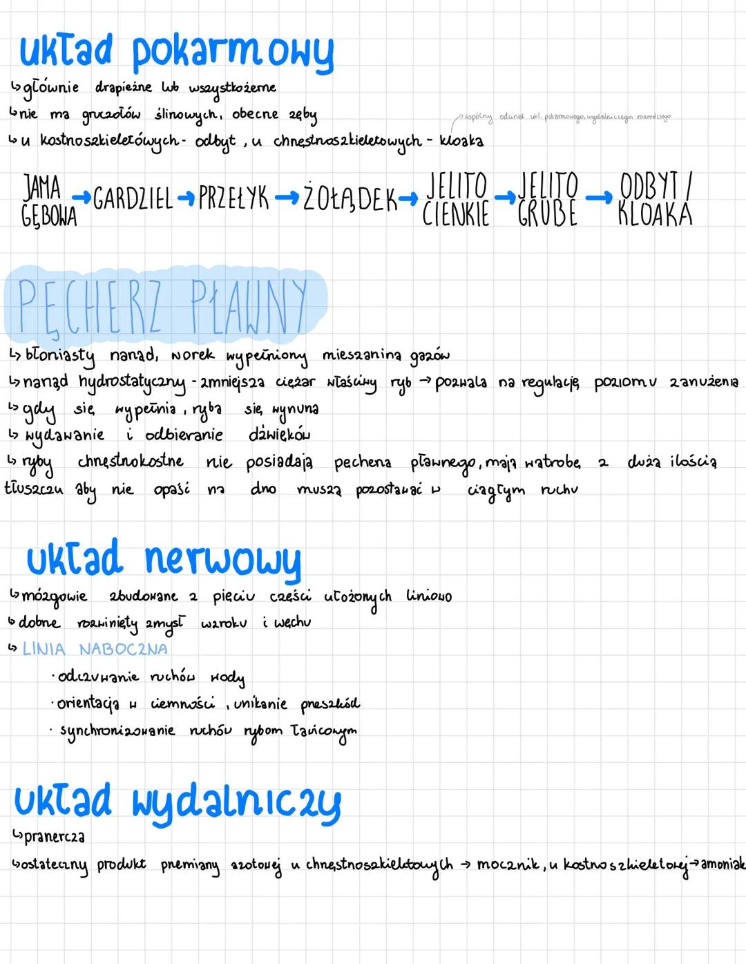 42miennocieplne kregonce
2uchnowce i bezwodniowce
pierwodnie wodne
ها
4 wymiana дагоша 23 ротоса skneli
G
głowa, tułów,
, ogon
skóra pokryta