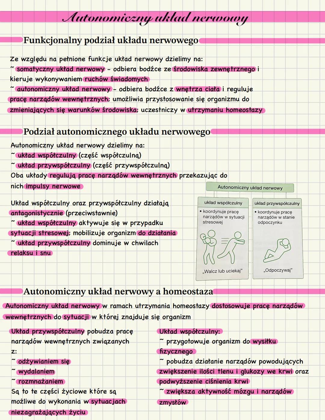 # Autonomiczny układ nerwowy
Funkcjonalny podział układu nerwowego
Ze względu na pełnione funkcje układ nerwowy dzielimy na:
- somatyczny