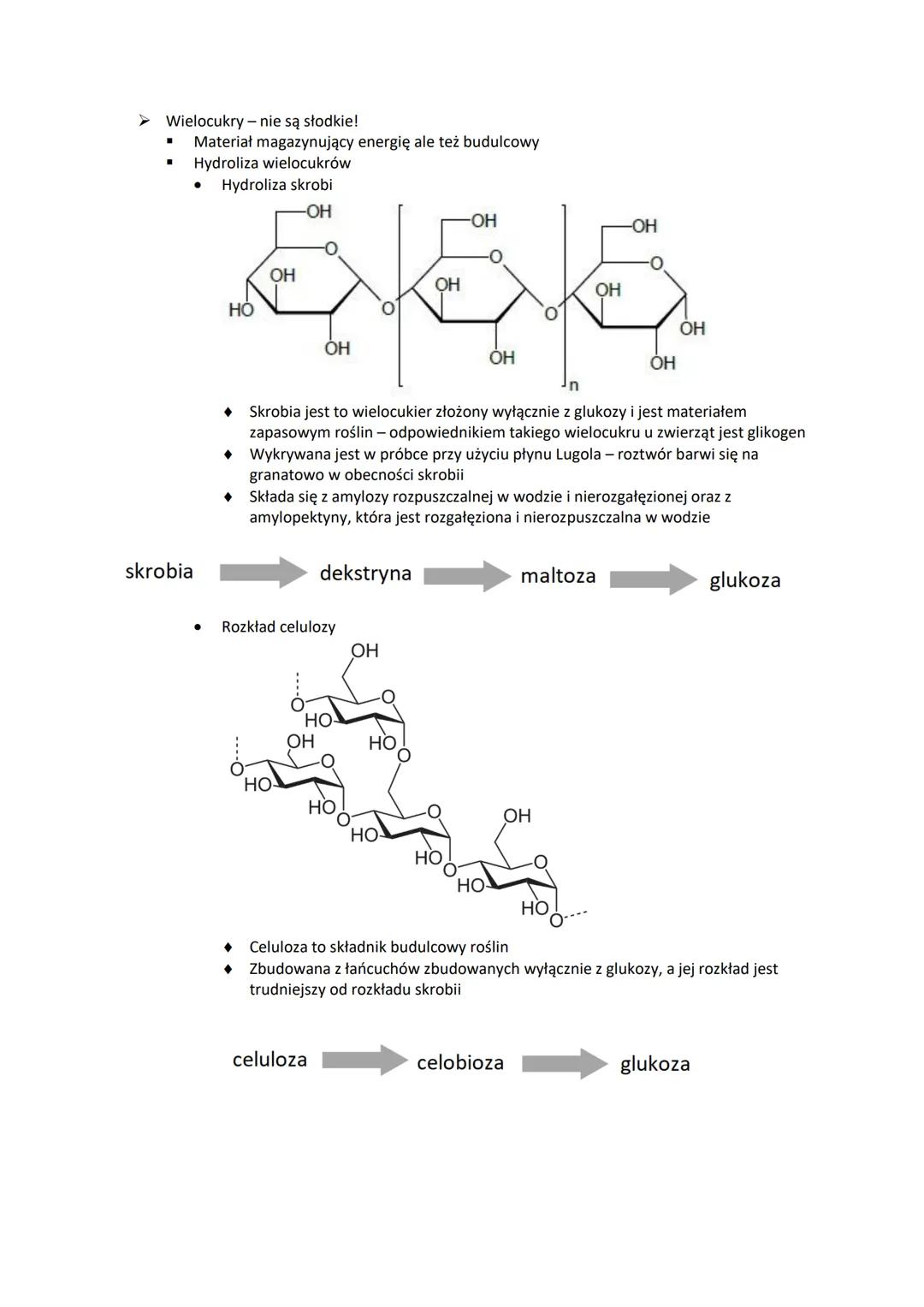 Chemizm życia.
Składniki nieorganiczne
➤ Makroelementy
"
"
"
"
"
"
"
■
Makroelementy to pierwiastki, które stanowią nie mniej niż 0,01% such