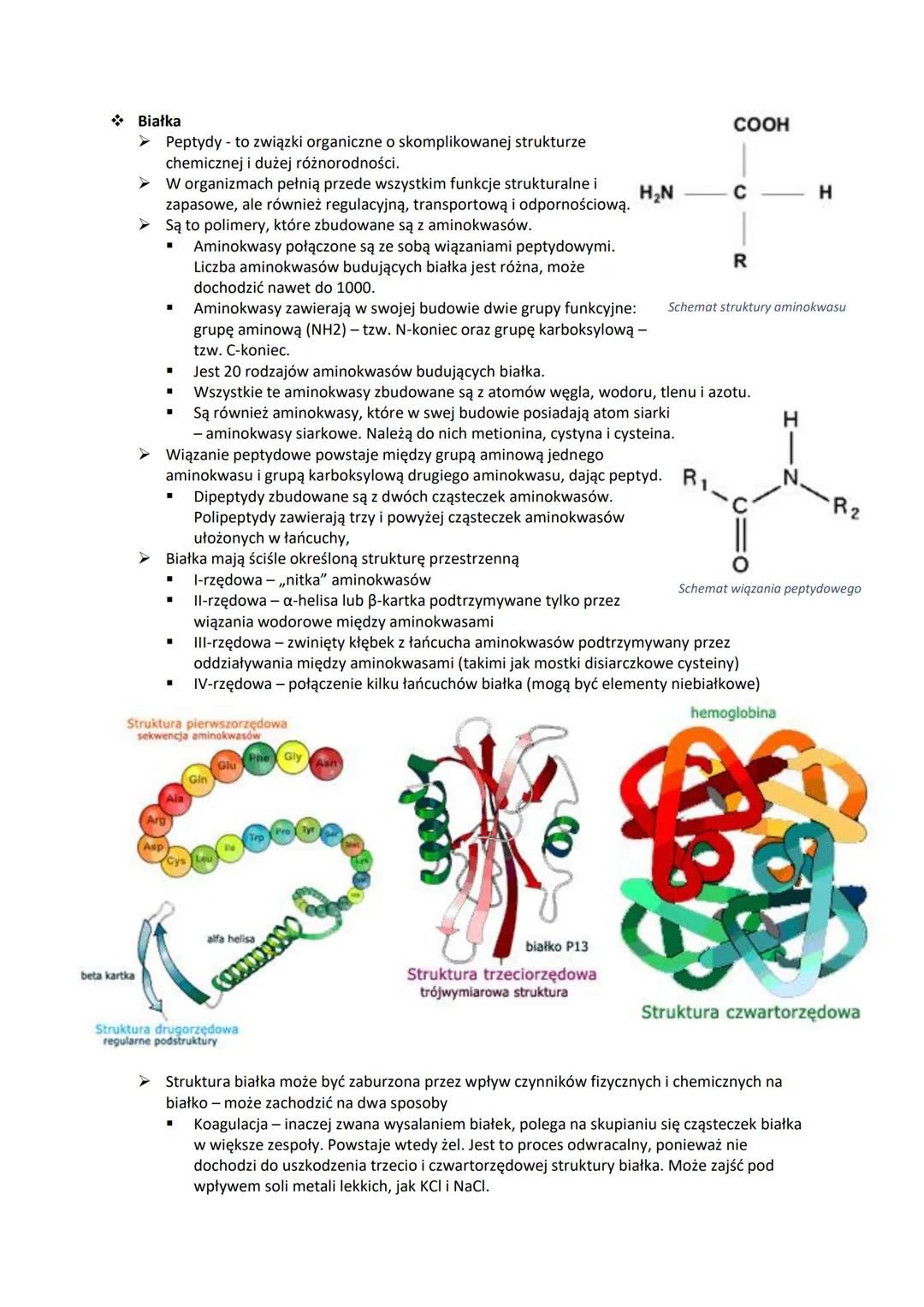 Chemizm życia.
Składniki nieorganiczne
➤ Makroelementy
"
"
"
"
"
"
"
■
Makroelementy to pierwiastki, które stanowią nie mniej niż 0,01% such