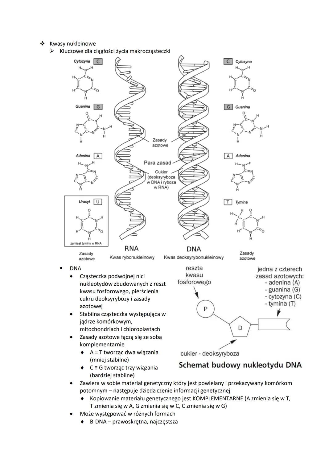 Chemizm życia.
Składniki nieorganiczne
➤ Makroelementy
"
"
"
"
"
"
"
■
Makroelementy to pierwiastki, które stanowią nie mniej niż 0,01% such