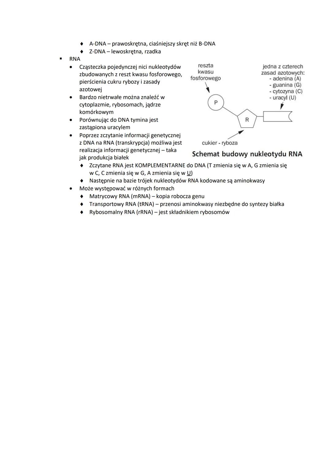 Chemizm życia.
Składniki nieorganiczne
➤ Makroelementy
"
"
"
"
"
"
"
■
Makroelementy to pierwiastki, które stanowią nie mniej niż 0,01% such