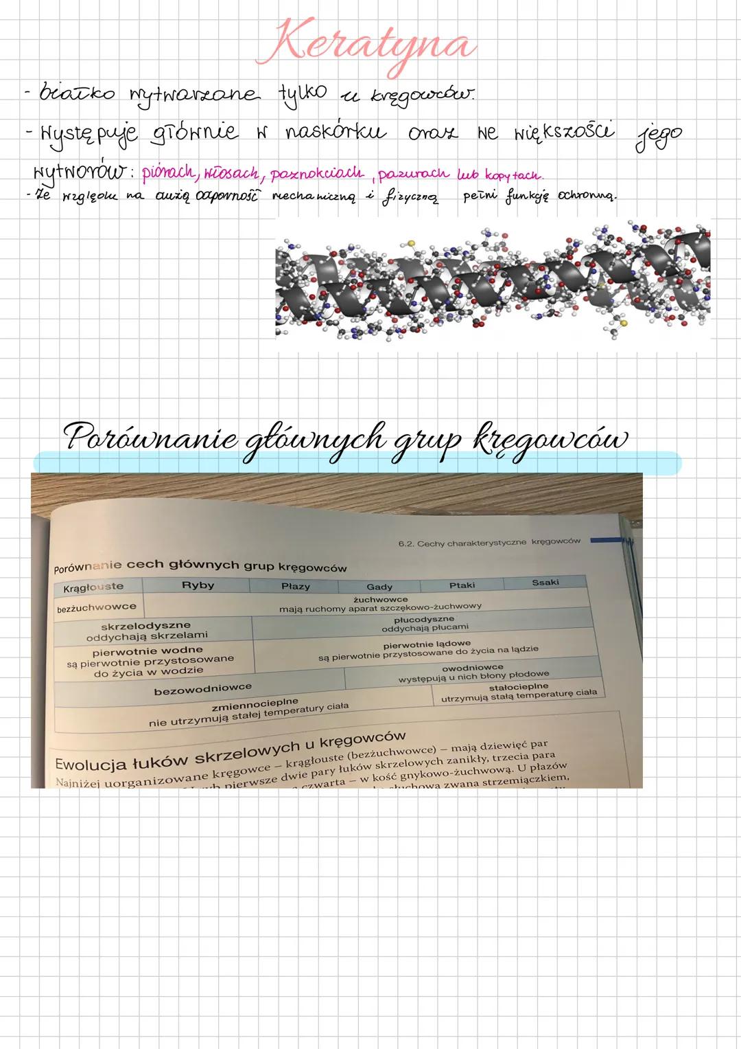 # Cechy charakterystyczne kręgowców
Cechy kręgorców:
→ w ich ciele wyróżniamy 3 zasadnicze części głowę tułów i ogon.
u niektórych gatunuб