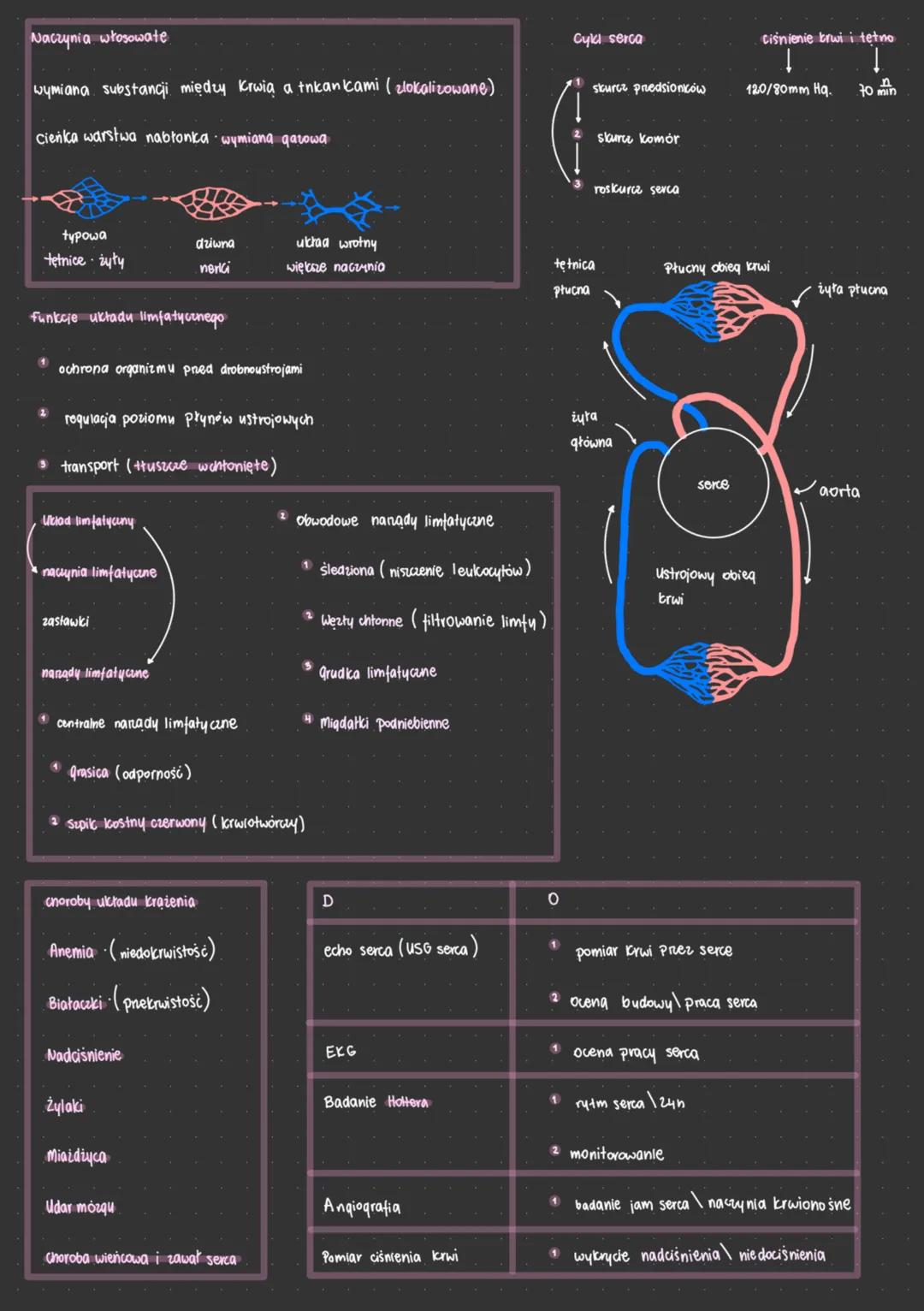 Funkcje układu krwionośnego
1 dostarczanie tlenu substancji pokarmowych
2 transport produktów metabolizmu (dwutlenk węgla, mocznik) płuca \n
