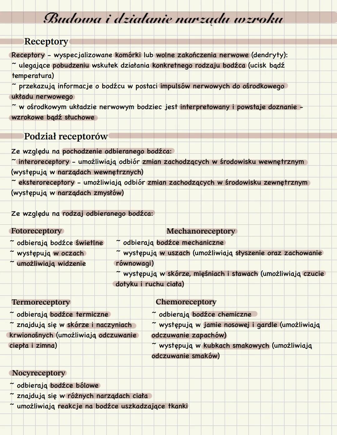 Budowa i działanie narządu wzroku
Receptory
Receptory wyspecjalizowane komórki lub wolne zakończenia nerwowe (dendryty):
~ ulegające pobudze