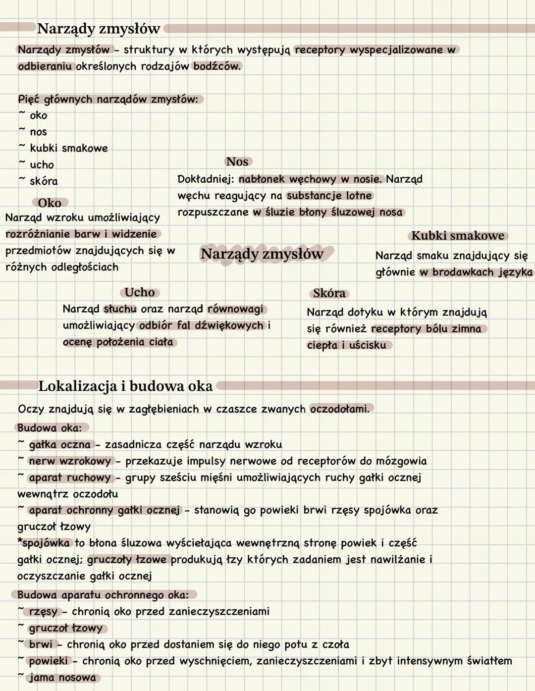 Budowa i działanie narządu wzroku
Receptory
Receptory wyspecjalizowane komórki lub wolne zakończenia nerwowe (dendryty):
~ ulegające pobudze