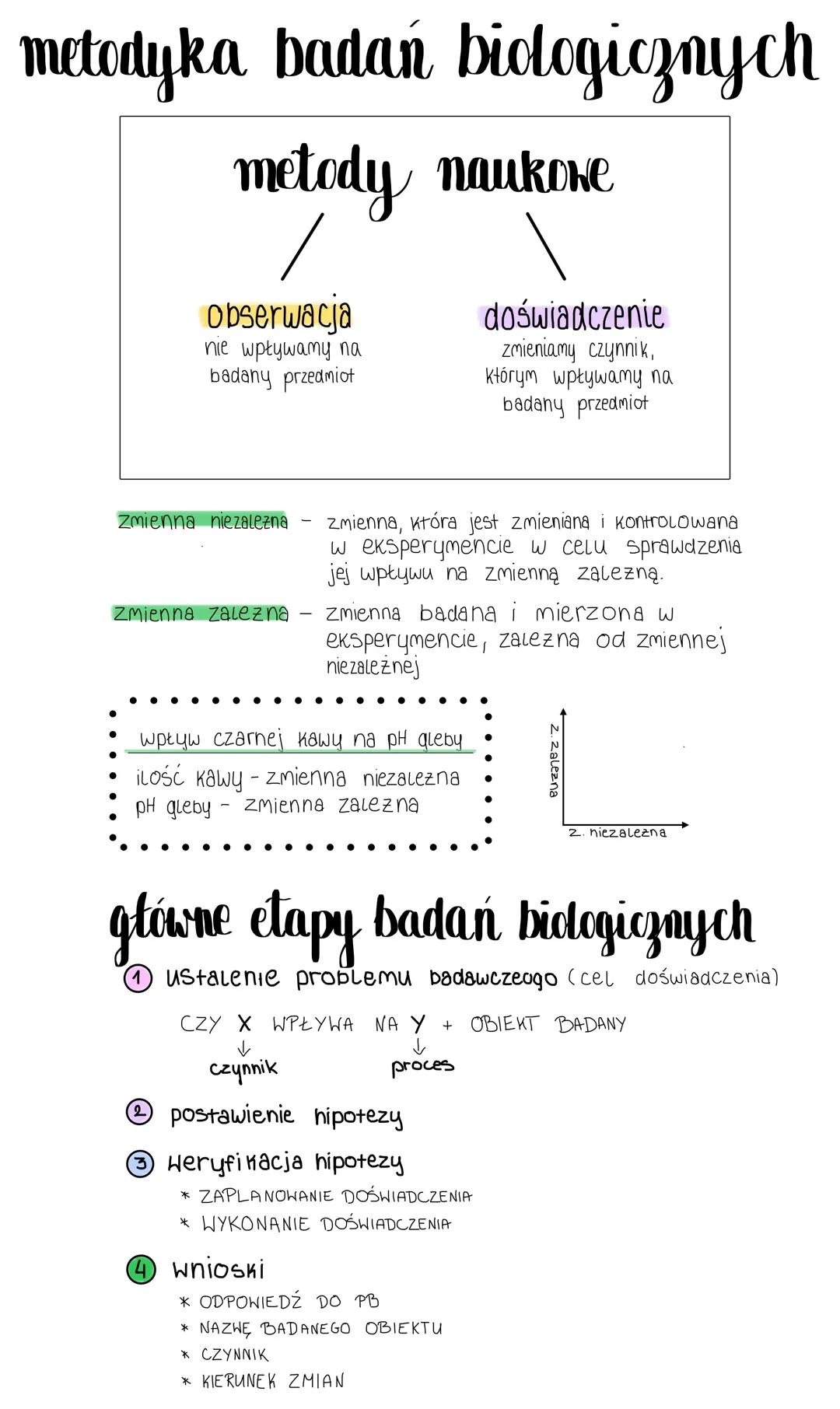 # metodyka badań biologicznych
metody naukowe
/
obserwacja
nie wpływamy na
badany przedmiot
doświadczenie
zmieniamy czynnik,
którym wpły