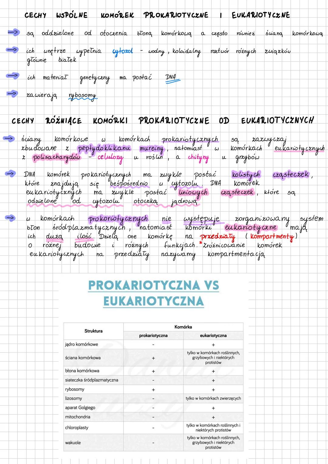 RODZAJE KOMÓREK I ICH BUDOWA
Głównym kryterium klasyfikacji komórek jest obecność w nich jądra komórkowego
lub jego brak.
Podział komórek
