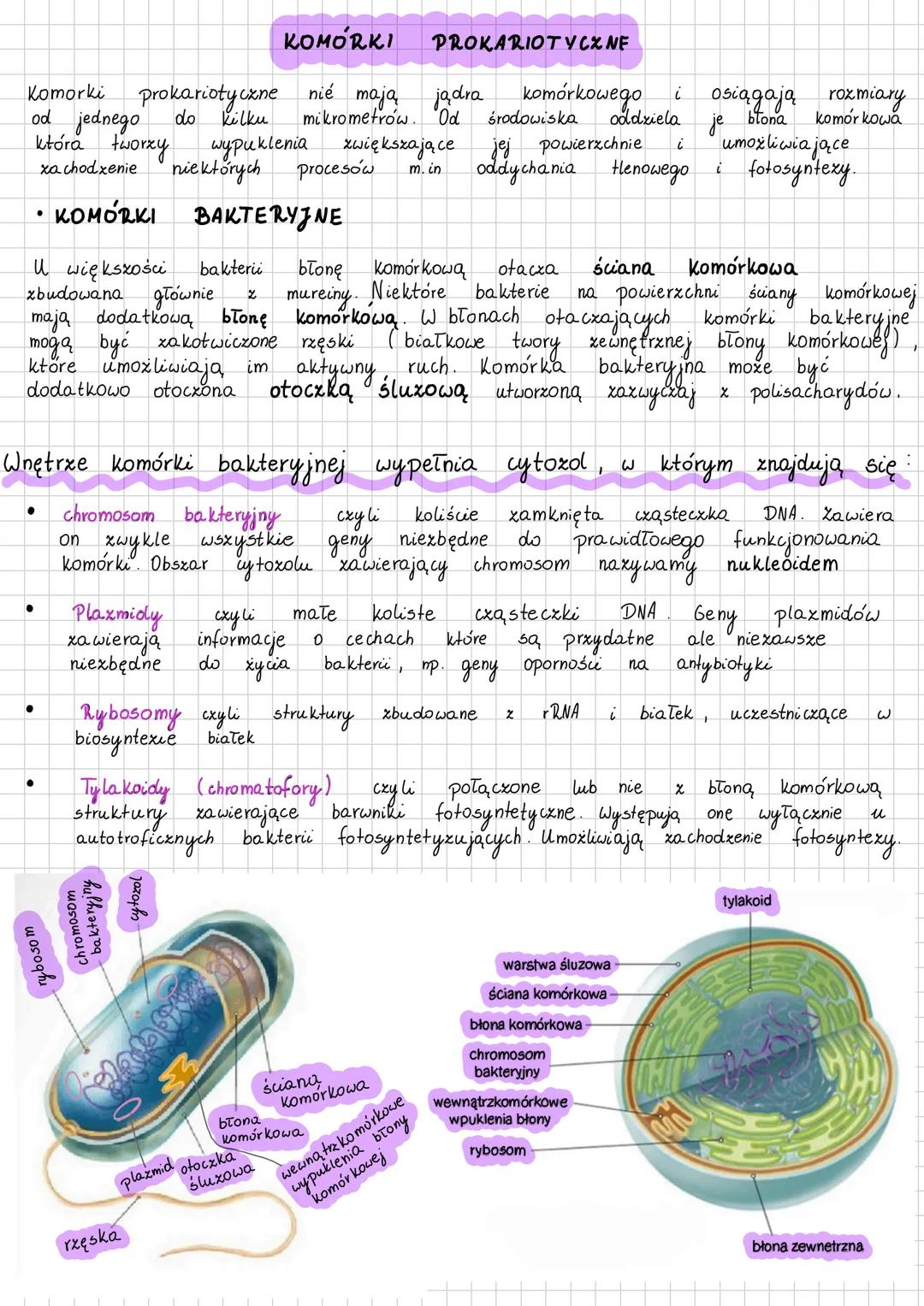 RODZAJE KOMÓREK I ICH BUDOWA
Głównym kryterium klasyfikacji komórek jest obecność w nich jądra komórkowego
lub jego brak.
Podział komórek