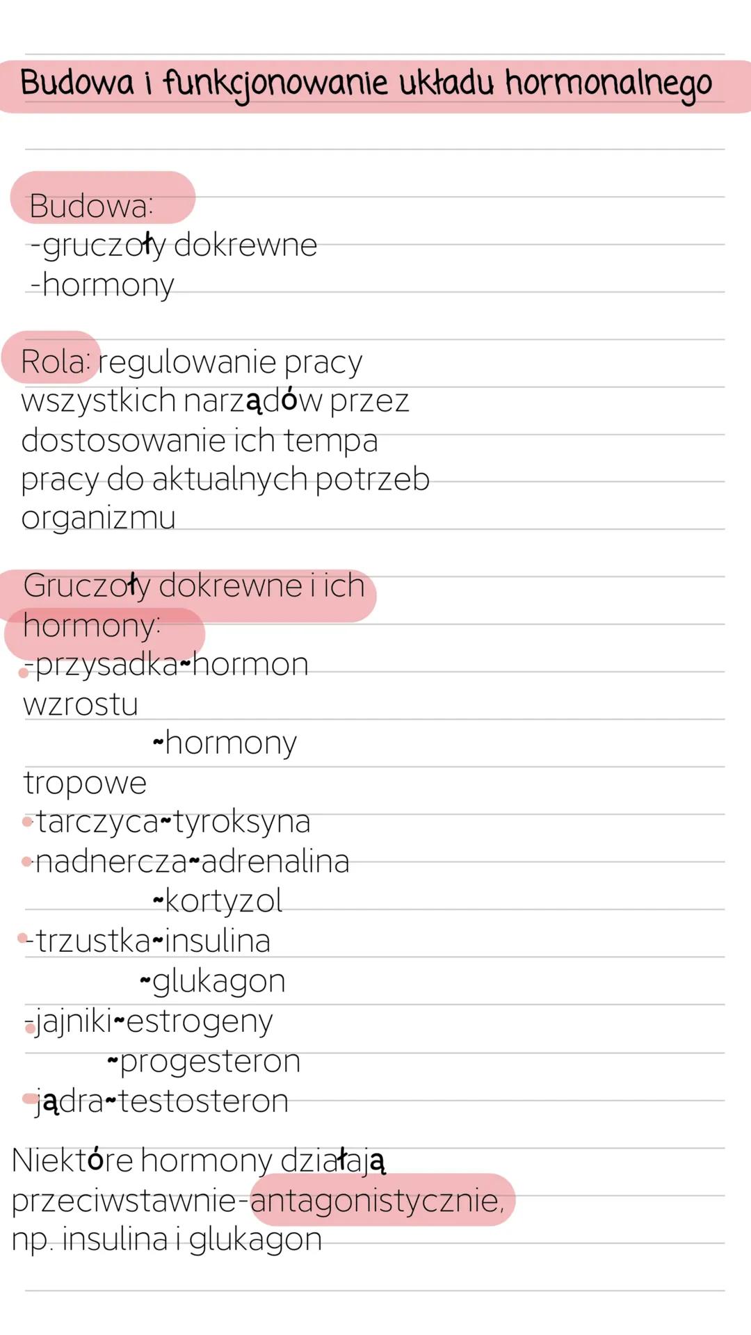 Budowa i funkcjonowanie układu hormonalnego