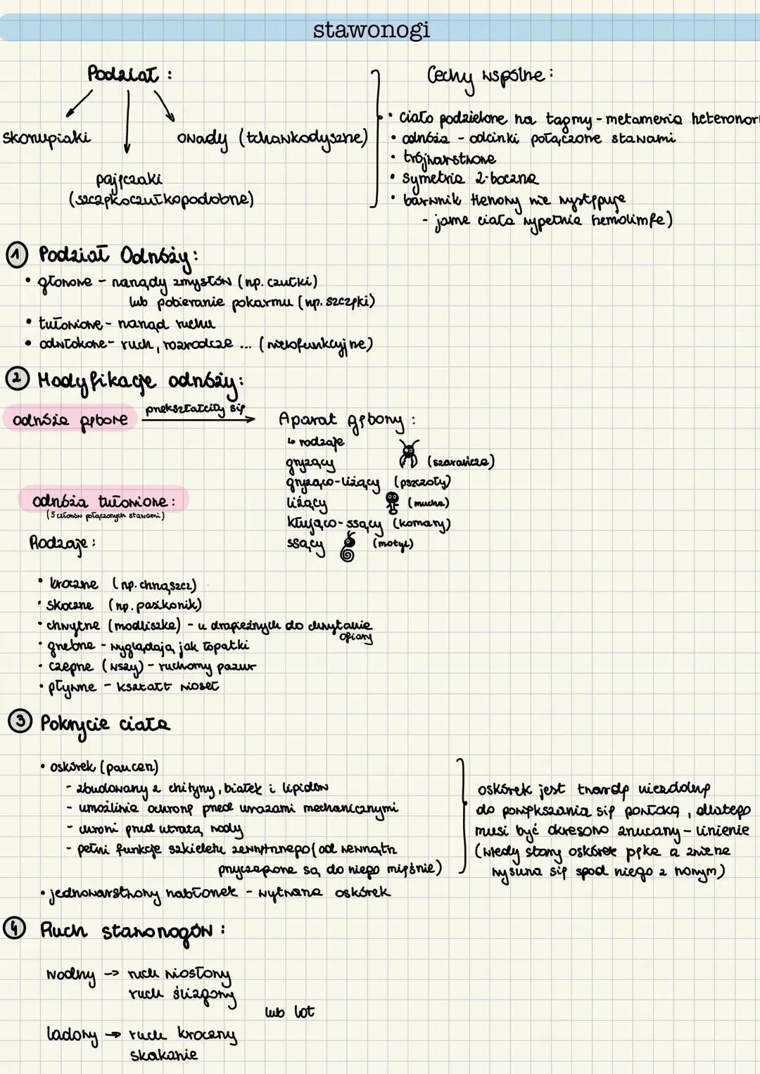 gąbki
• beztkankone
• drunvrstnone
• symetria promieniste
• duže zdolności repemeracji
• nodme, osiadte
① Budona
•ciato ma ksetatt norke