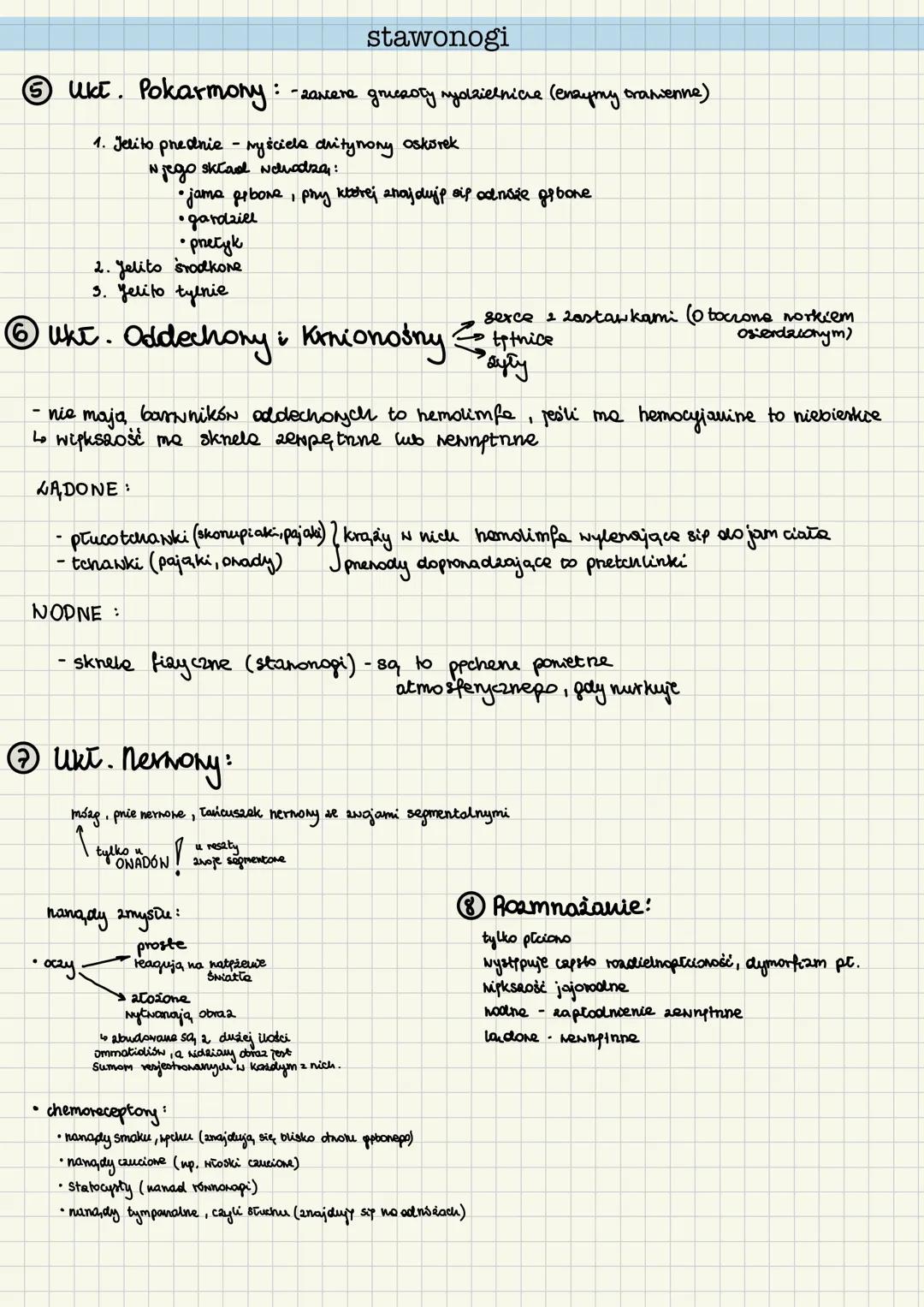 gąbki
• beztkankone
• drunvrstnone
• symetria promieniste
• duže zdolności repemeracji
• nodme, osiadte
① Budona
•ciato ma ksetatt norke