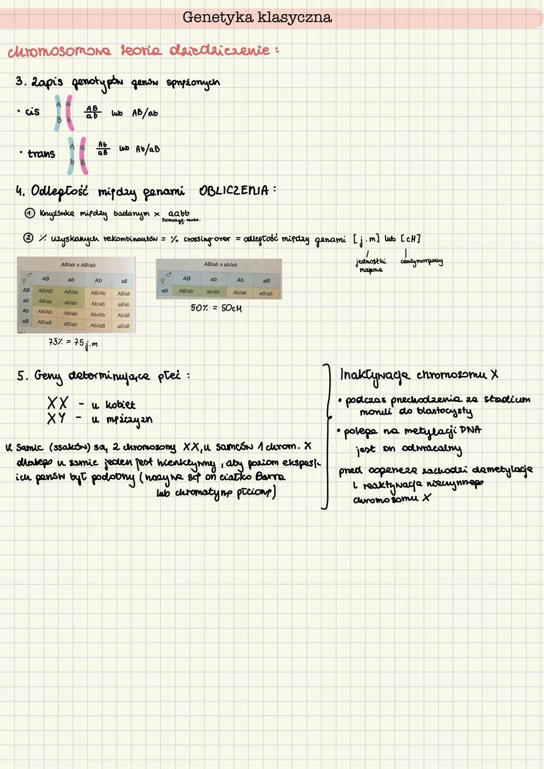 Genetyka klasyczna
gen - podstawowa jednostka dziedziczności potrzebna do wytworzenia białka lub RNA
allel - wersja genu (powoduje wykształ