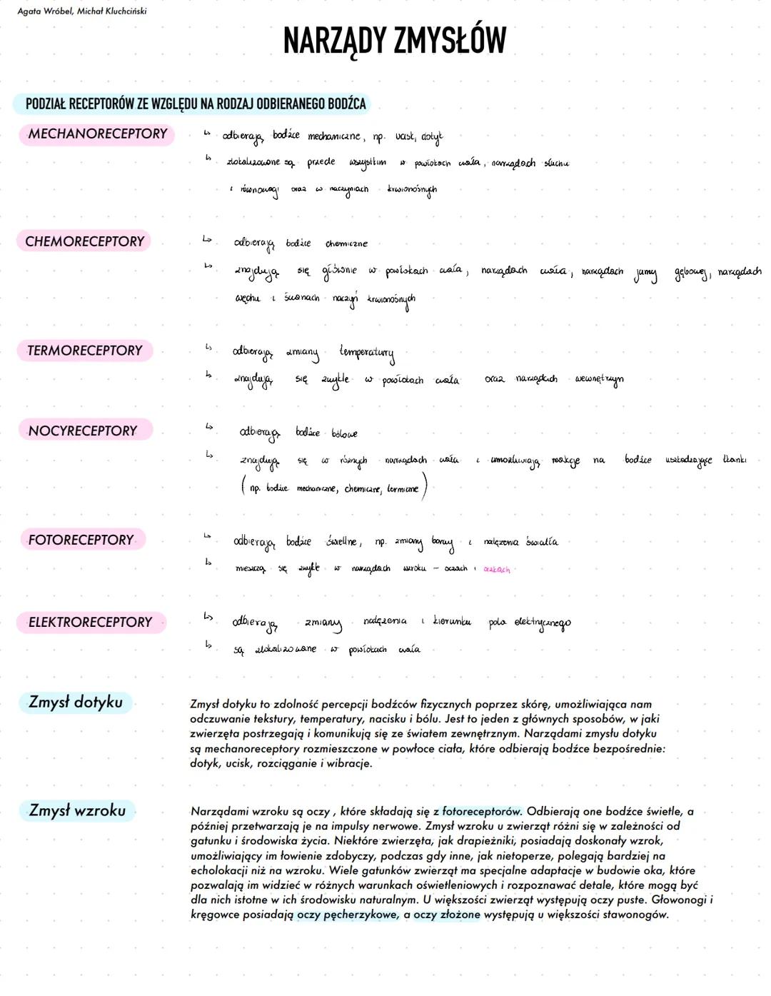 Agata Wróbel, Michał Kluchciński
# NARZĄDY ZMYSŁÓW
PODZIAŁ RECEPTORÓW ZE WZGLĘDU NA RODZAJ ODBIERANEGO BODŹCA
# MECHANORECEPTORY
- odbie