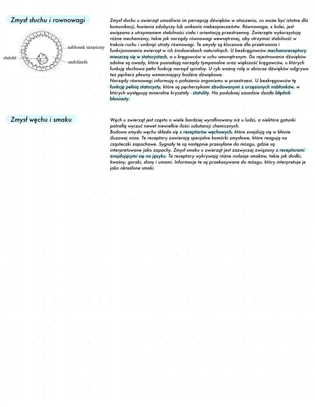 Agata Wróbel, Michał Kluchciński
# NARZĄDY ZMYSŁÓW
PODZIAŁ RECEPTORÓW ZE WZGLĘDU NA RODZAJ ODBIERANEGO BODŹCA
# MECHANORECEPTORY
- odbie