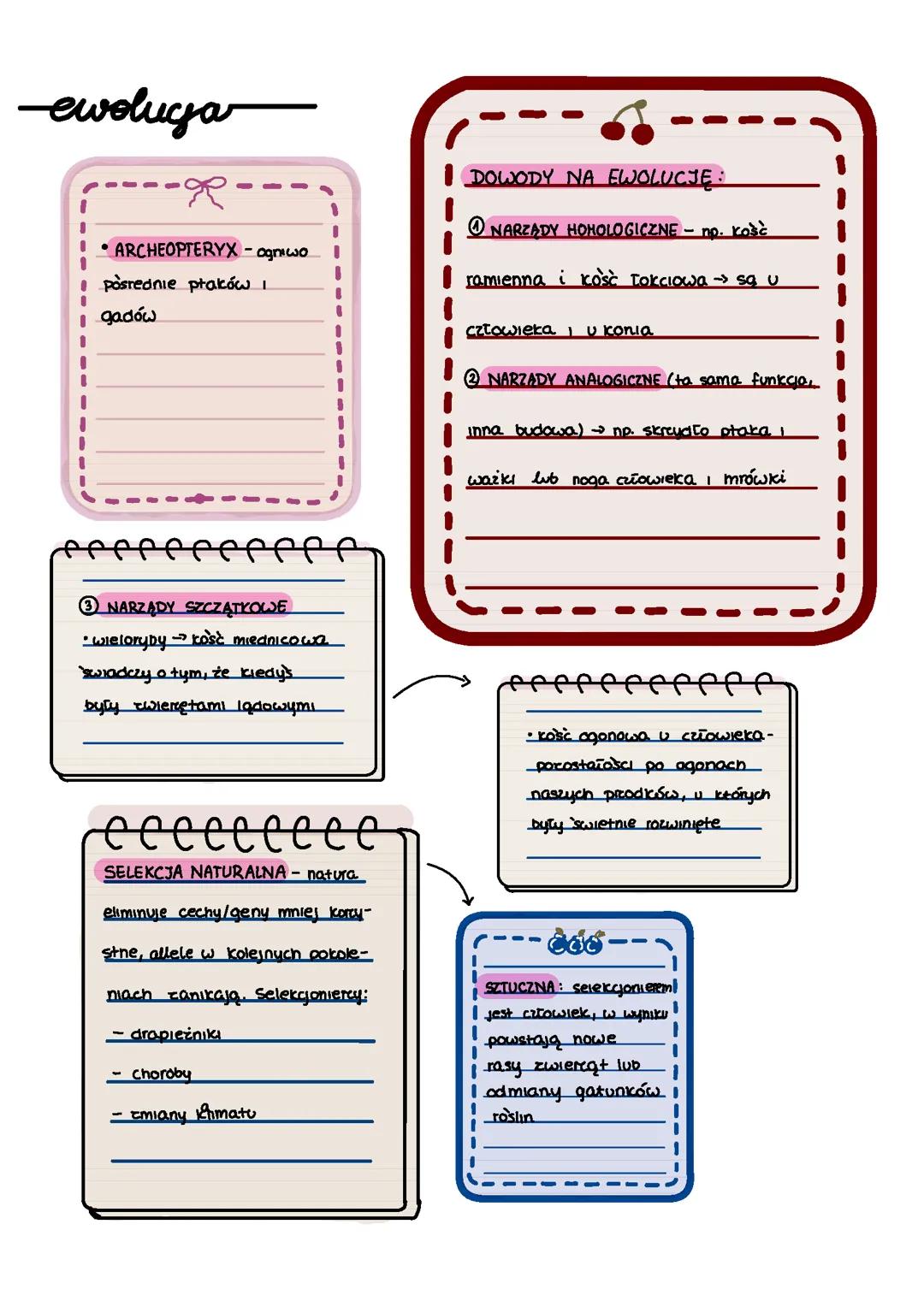 Ewolucja - dobór naturalny i sztuczny, specjacja
