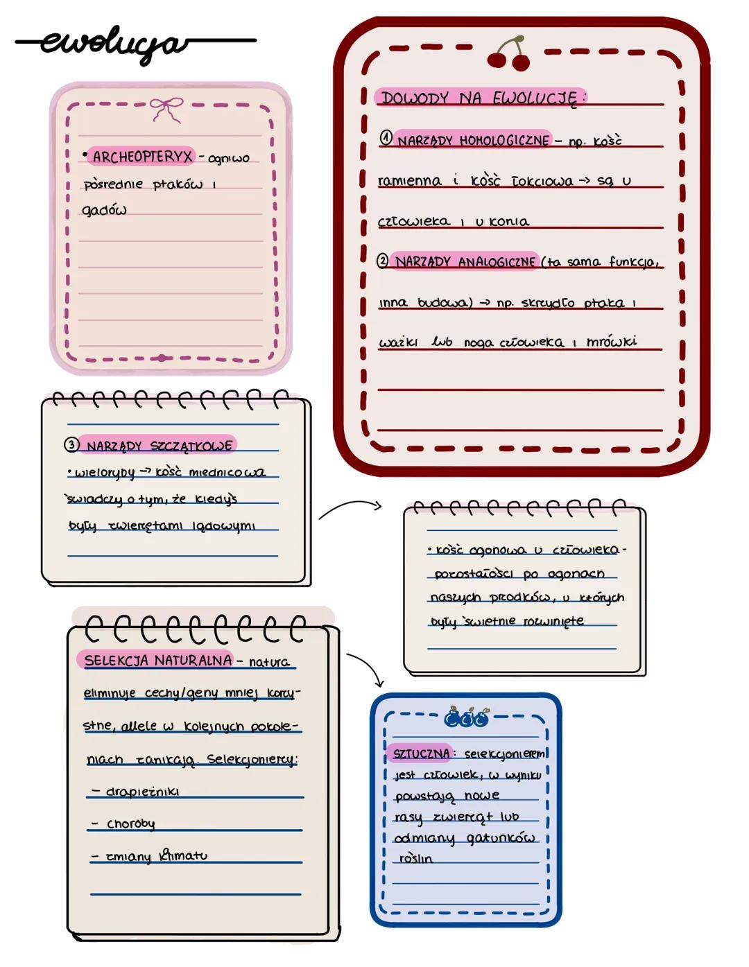 -ewoluga
• ARCHEOPTERYX - ogniwo
• posrednie ptaków I
Igadów
DOWODY NA EWOLUCJĘ :
①NARZĄDY HOMOLOGICZNE - np. kość
ramienna i kość łokciowa