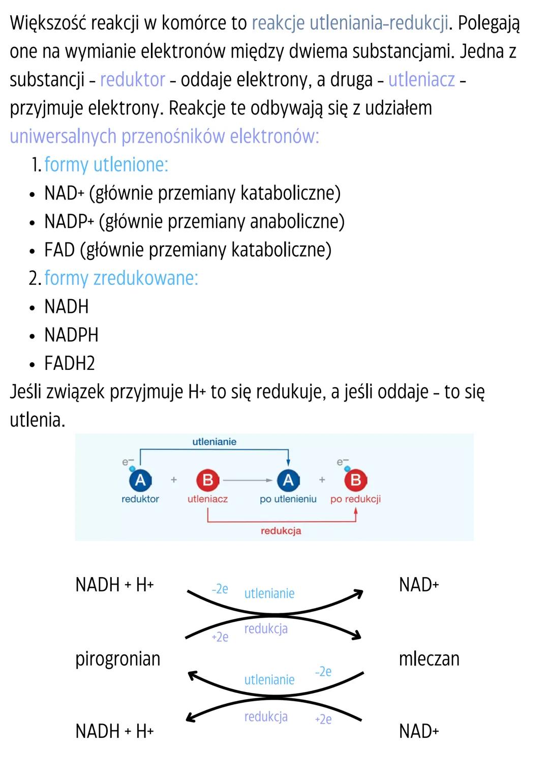 Podstawowe zasady
metabolizmu
Metabolizm - całość przemian chemicznych i energetycznych
zachodzących w komórce.
Kierunki przemian metabolicz