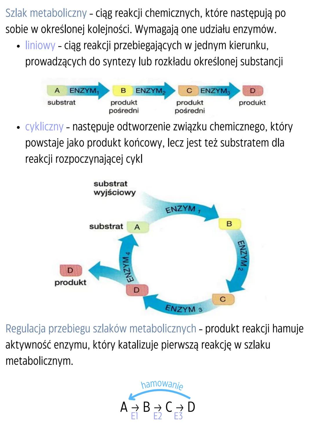 Podstawowe zasady
metabolizmu
Metabolizm - całość przemian chemicznych i energetycznych
zachodzących w komórce.
Kierunki przemian metabolicz
