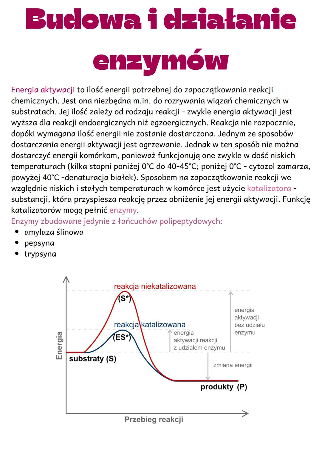 Budowa i działanie
enzymów
Energia aktywacji to ilość energii potrzebnej do zapoczątkowania reakcji
chemicznych. Jest ona niezbędna m.in. do