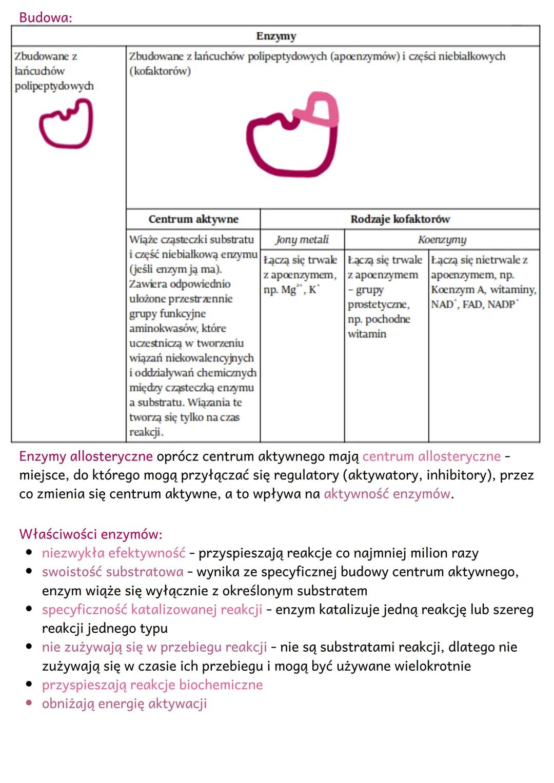 Budowa i działanie
enzymów
Energia aktywacji to ilość energii potrzebnej do zapoczątkowania reakcji
chemicznych. Jest ona niezbędna m.in. do