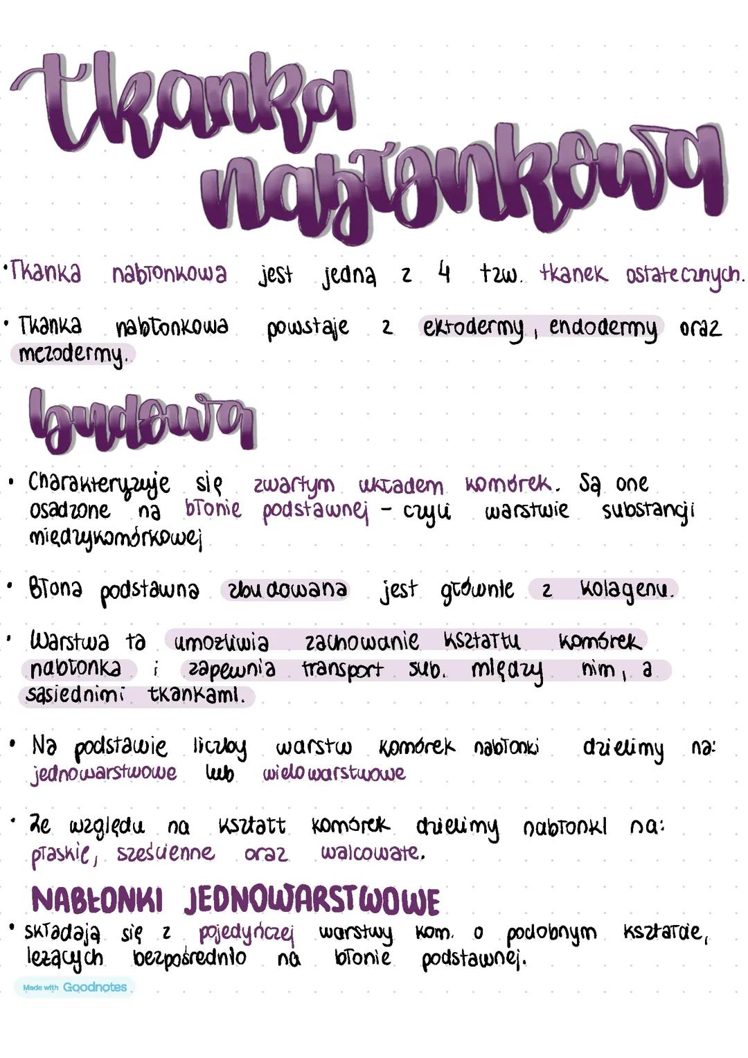 Tkanka nabłonkowa