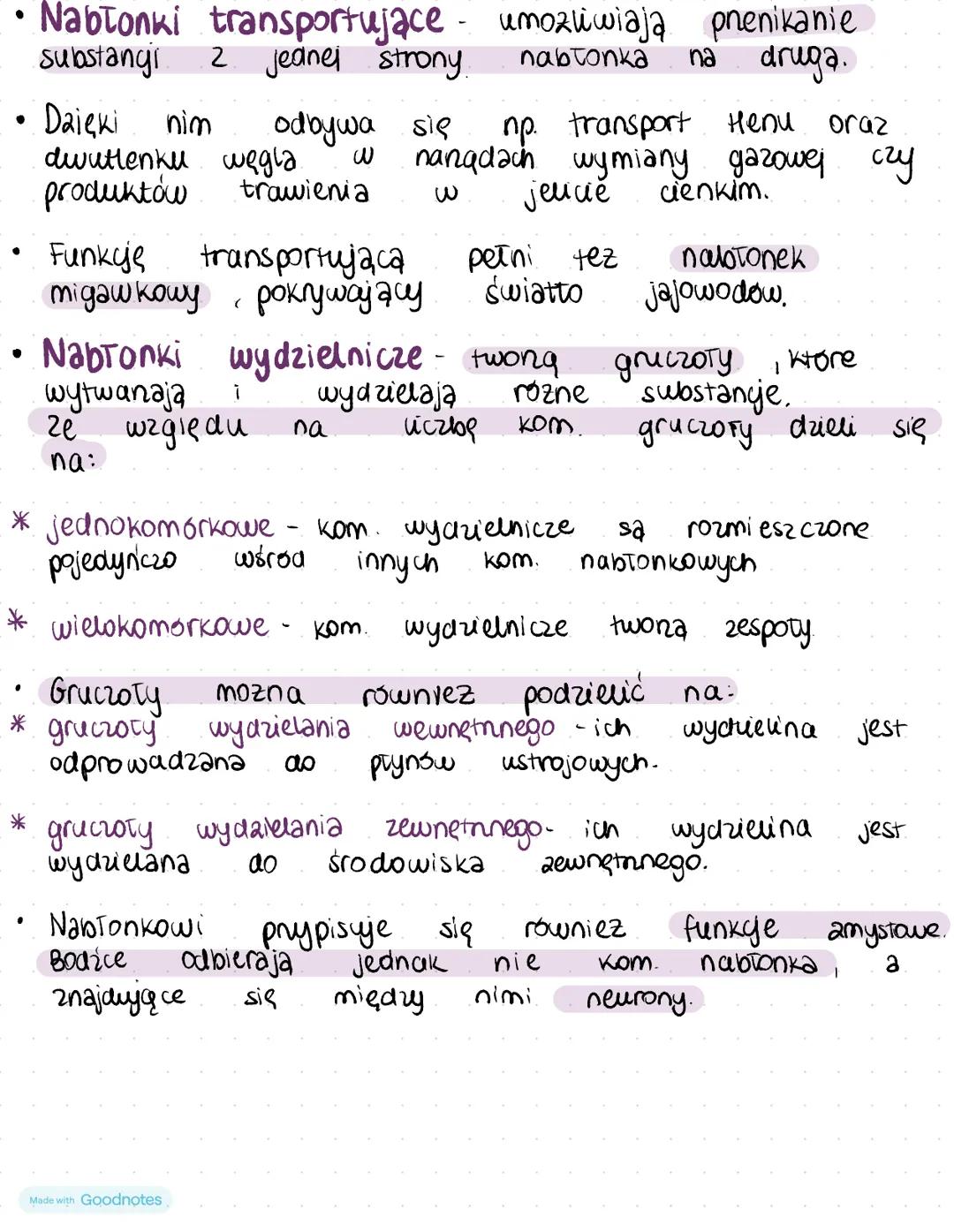 tkanka
nagronkowa
•Tkanka nabronkowa jest jedna z 4 tzw. tkanek ostatecznych.
• Ткапка
mezodermy.
•
nabłonkowa
budowa
powstaje
2 ektodermy,