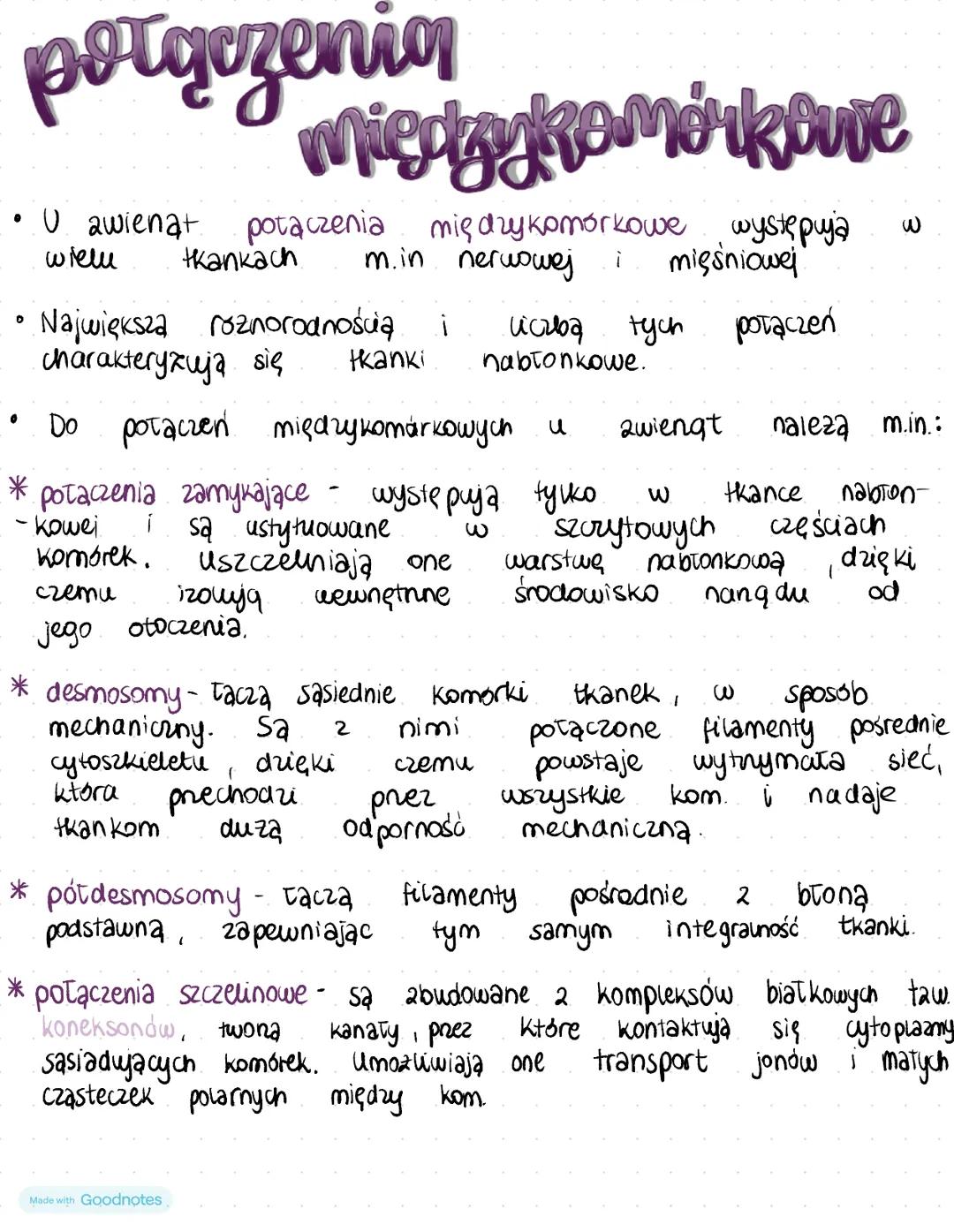 tkanka
nagronkowa
•Tkanka nabronkowa jest jedna z 4 tzw. tkanek ostatecznych.
• Ткапка
mezodermy.
•
nabłonkowa
budowa
powstaje
2 ektodermy,
