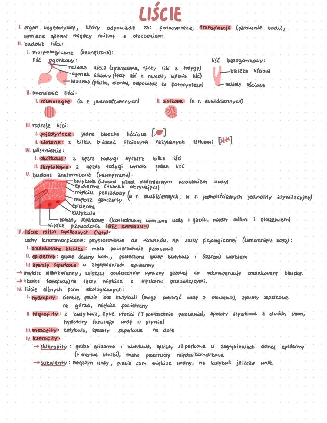 # LIŚCIE
1. organ wegetatywny, który odpowiada 2a: Fotosynteze, transpiracje (parowanie wody),
wymiane gazou? między roślina a otoczeniem.