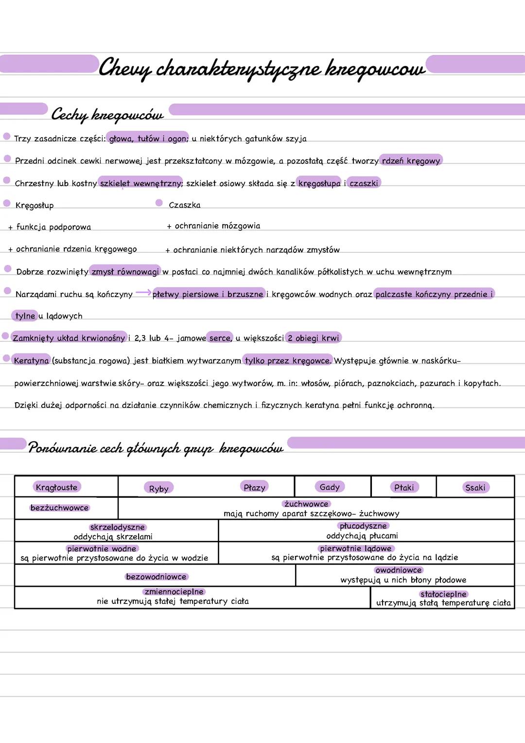 Cechy charakterystyczne kręgowców