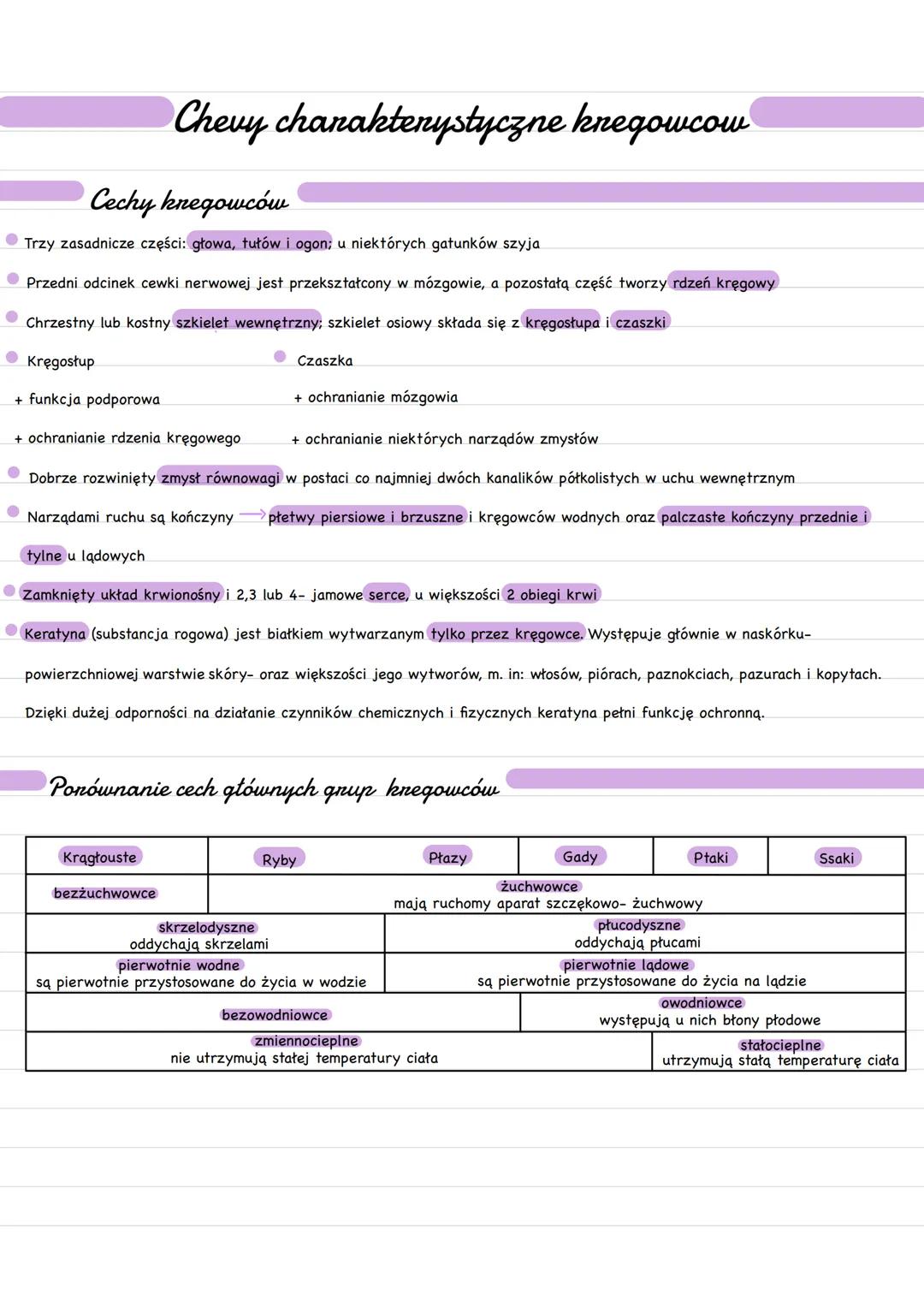 Chevy charakterystyczne knegowcow
Cechy knegowców
Trzy zasadnicze części: głowa, tułów i ogon; u niektórych gatunków szyja
Przedni odcinek c