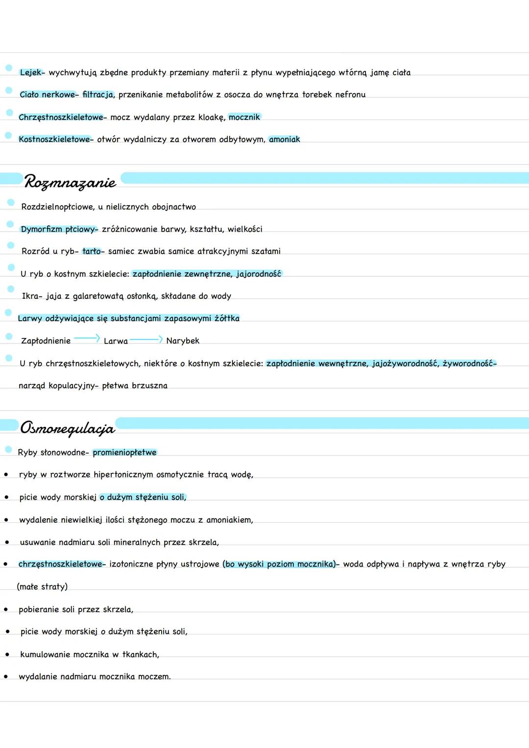 Podział nyb
Chrzęstnoszkieletowe
rekin
Ryby
Promieniopłetwe
płoć
spodouste
pstrąg
(wszystkie współczesne ryby)
Mięśniopłetwe
latimeria
ryby