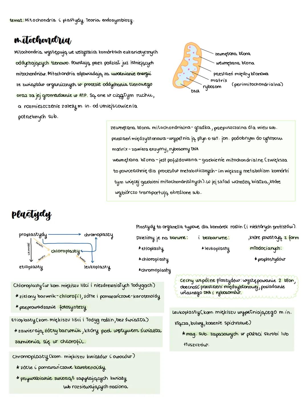 Mitochodria i plastydy teoria endosymbiozy.