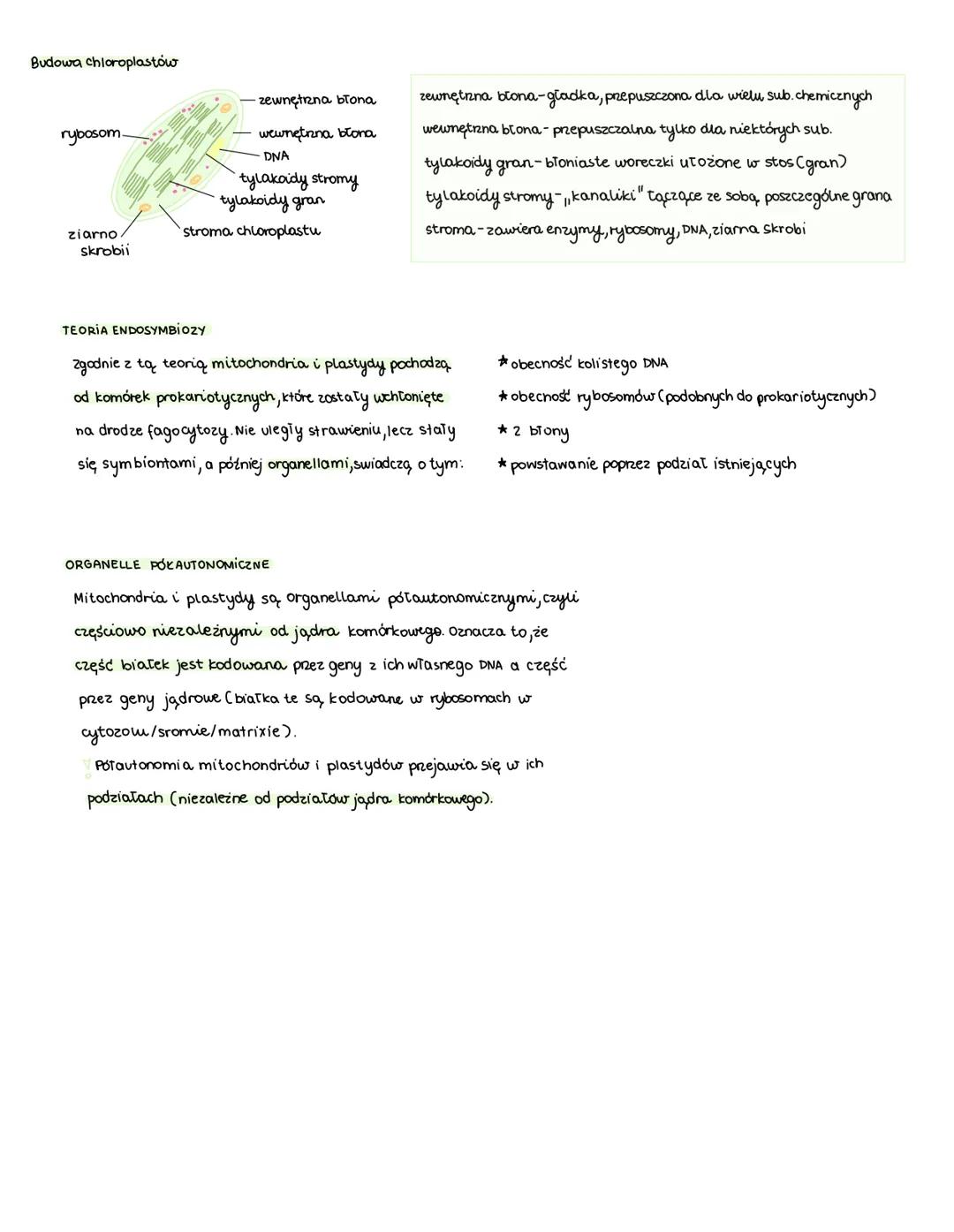 temat: Mitochondria i plastydy. Teoria endosymbiozy.
# mitochondria
Mitochondria występują we wszystkich komórkach eukariotycznych
oddycha