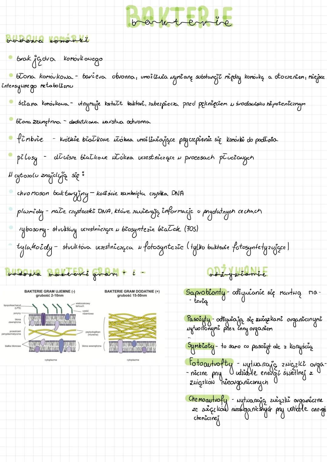 # BAKTERIE
## budoara komárki
- brak jedva komórkowego
- błona komórkowa - barieva obvonna, umożliwia wymianę substancji między komórką a