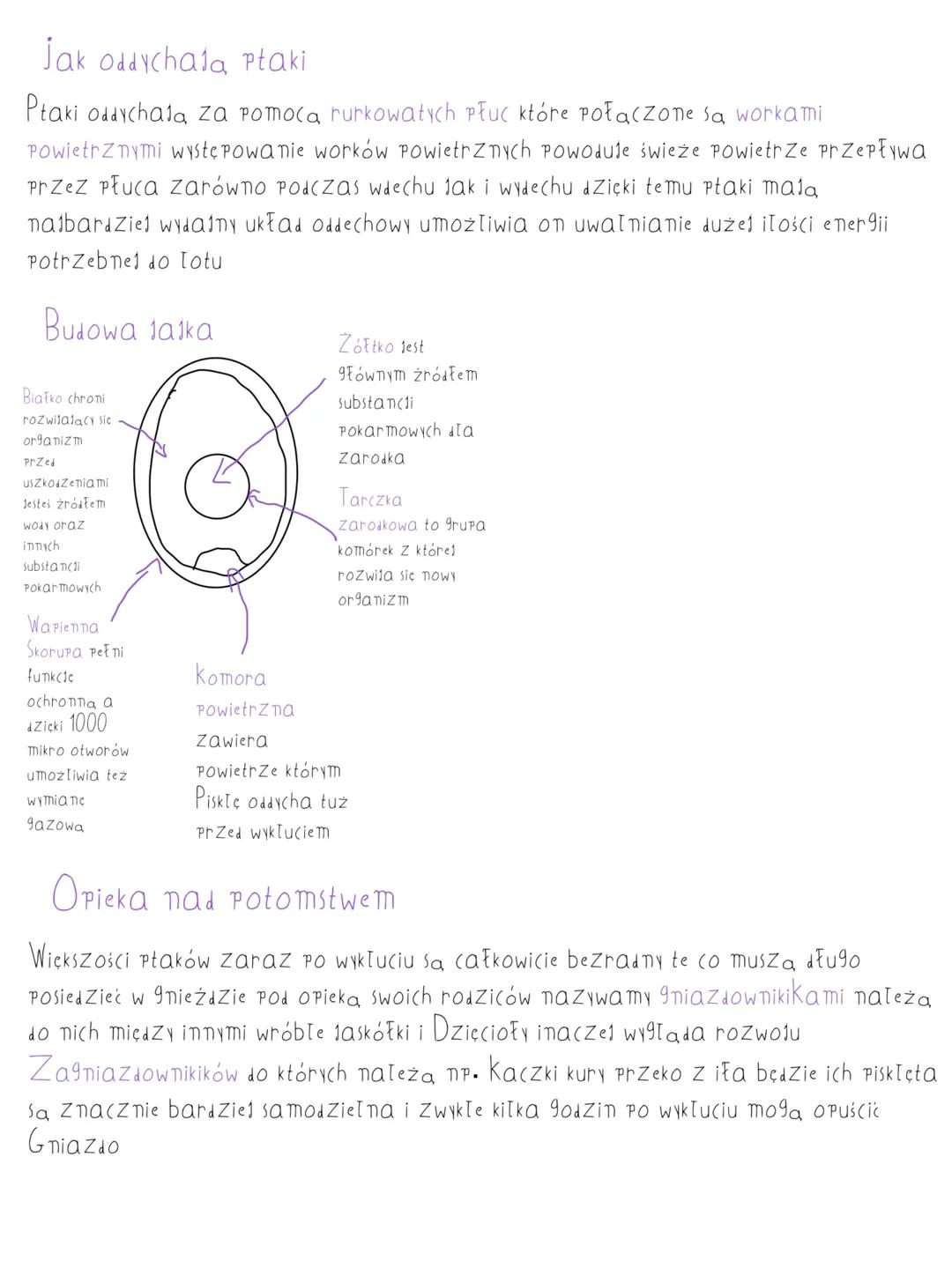 Biologia
Temat: Ptaki
Ptaki to kregowce stałocieplne malace Zdolność do lotu Wstępują we wszystkich
typach środowisk ptaki sa Jajorodne i ro