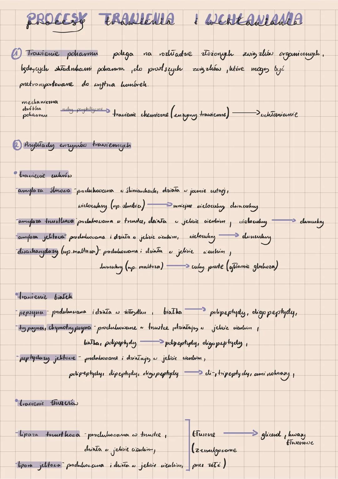 Procesy trawienia i wchłaniania