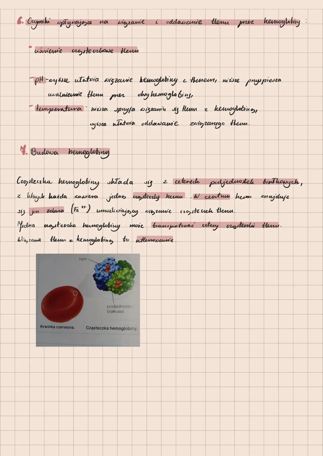 Wentylage & wymiana gazowa
A. Mechanizm wentylacji płuc
Wymiana powietrza
w
płucach składa się z
rytmicznych welechów i
wydechów
Zachodzi on