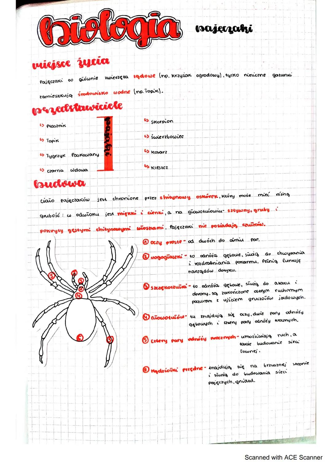 # biologia
miejsce zycia
Pajęczaki to głównie zwierzęta sądowe (np. krzyżak ogrodowy), tylko nieliczne gatunki
zamieszkują środowisko wodn