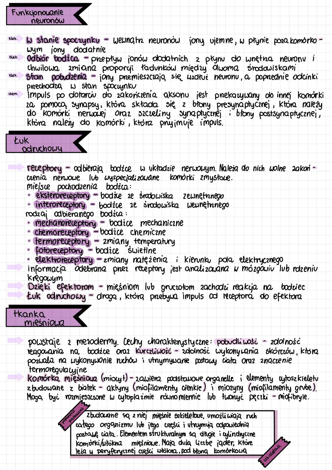 Tkanki pobudliwe - nerwowa i mięśniowa
-
-
Pobudliwość zdolność do reagowania na bodźce docierające ze środowiska zewnę
tnego lub środowiska