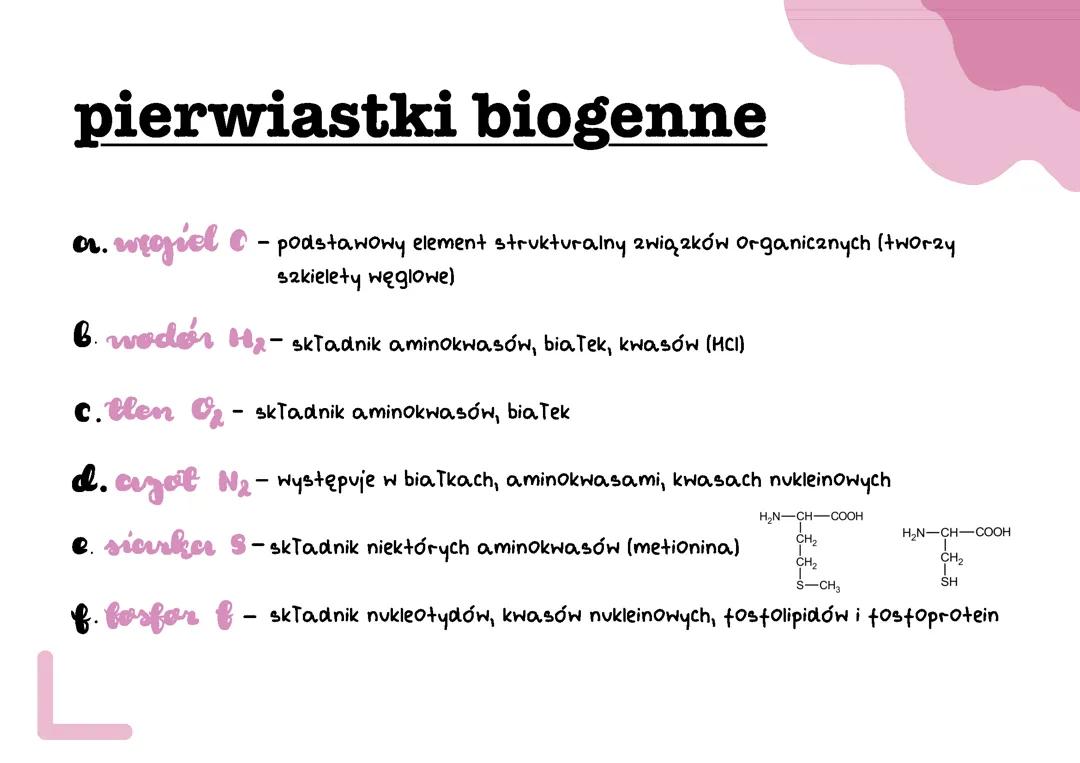Skład chemiczny organizmów