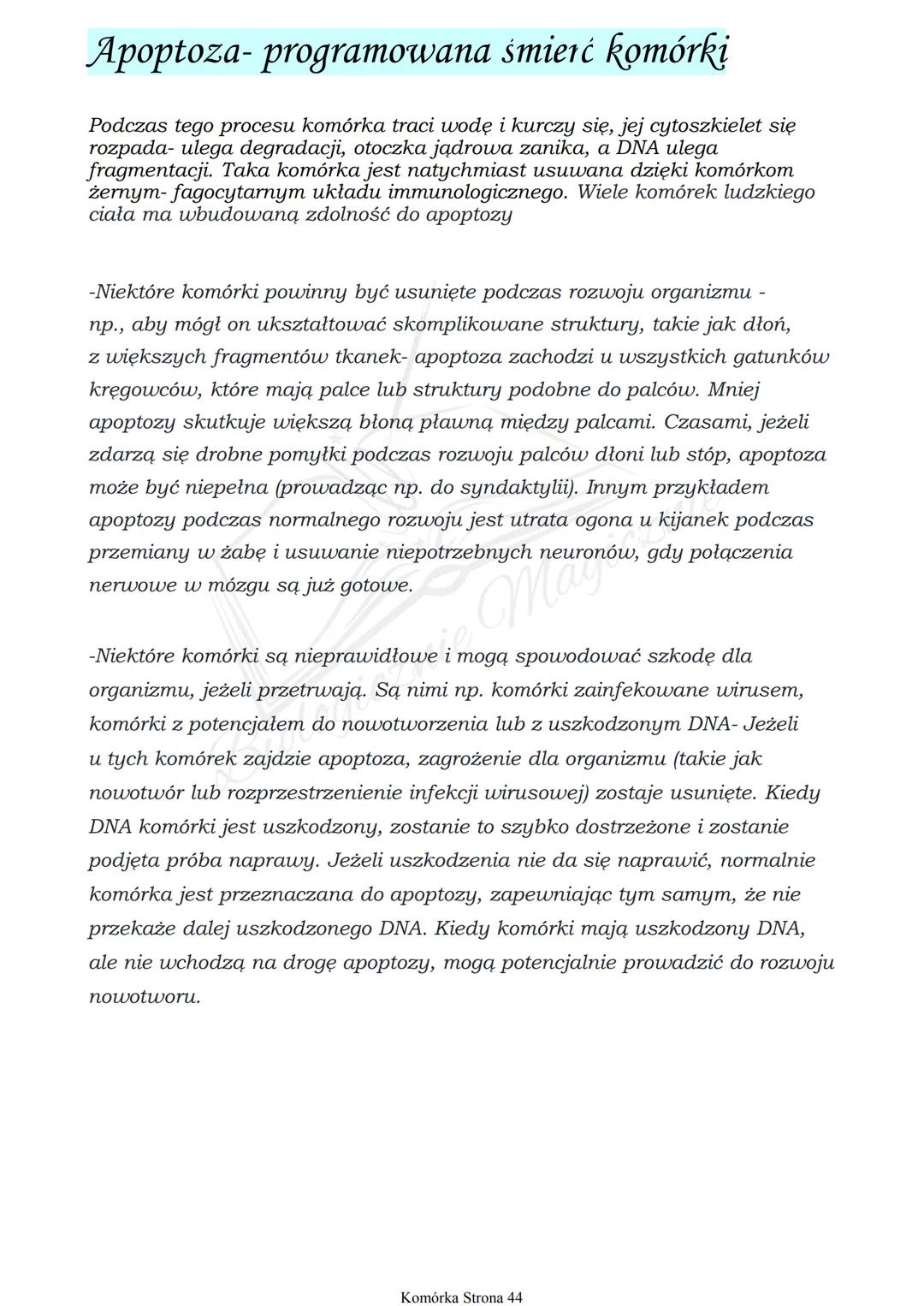 •
cykl komórkowy
obejmuje podział i wzrost komórki, trwa od momentu jej powstania do podziału
I. faza G1
↳ Warost komórki
L> zwiększenie ilo